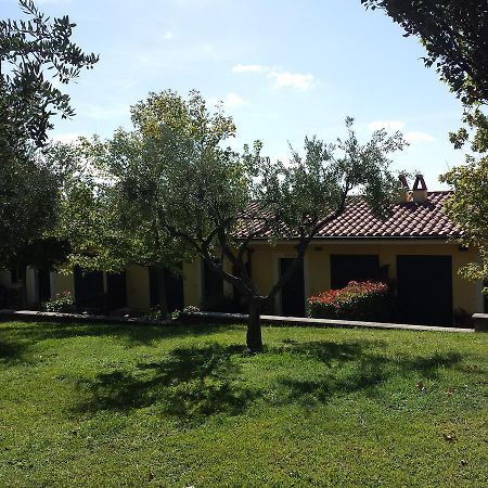 Agriturismo La Vite E Gli Ulivi Villa Ariccia Exteriör bild