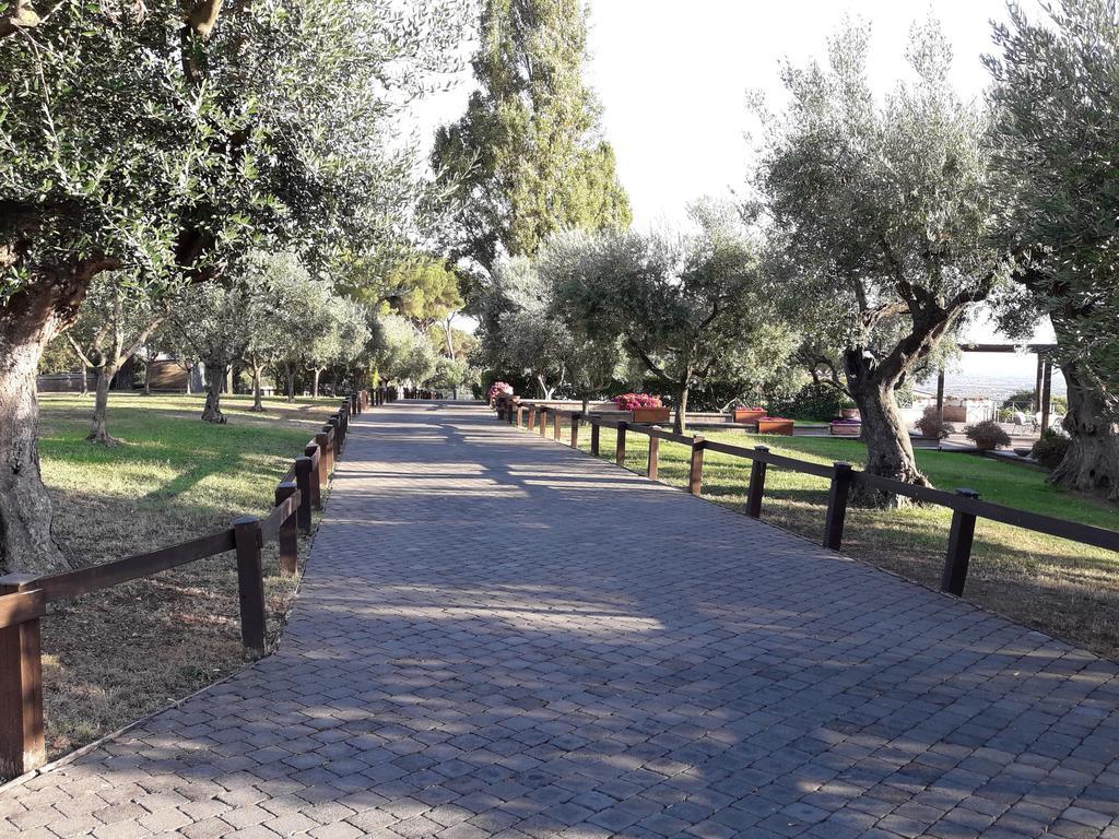 Agriturismo La Vite E Gli Ulivi Villa Ariccia Exteriör bild