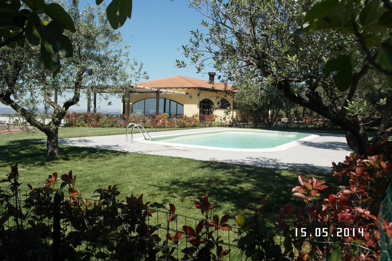 Agriturismo La Vite E Gli Ulivi Villa Ariccia Exteriör bild