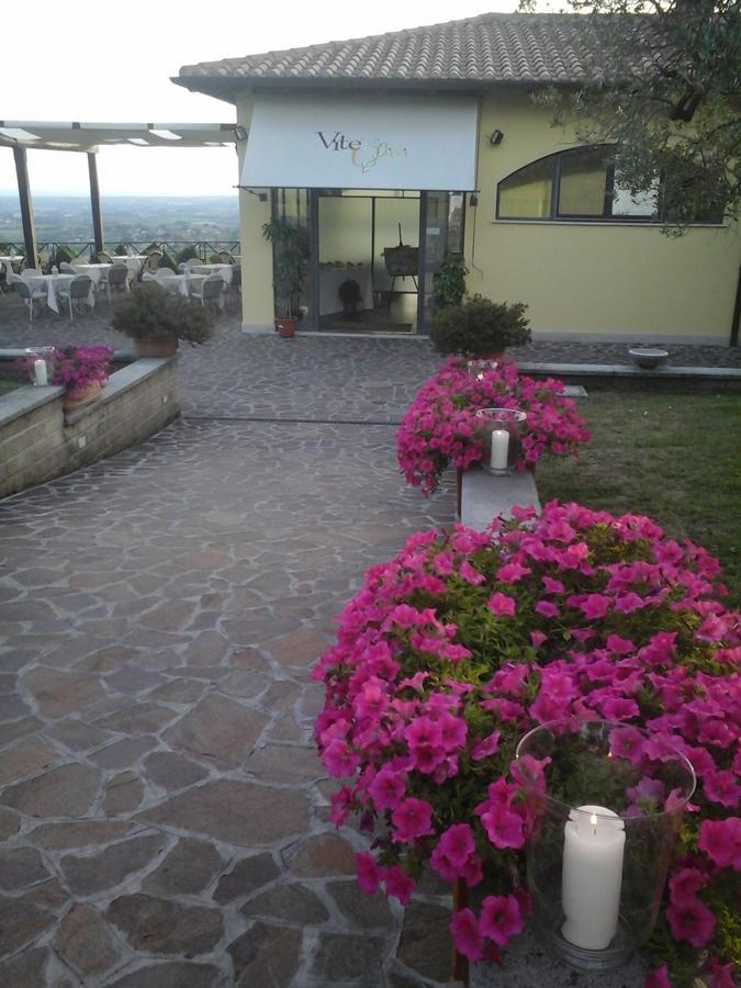 Agriturismo La Vite E Gli Ulivi Villa Ariccia Exteriör bild