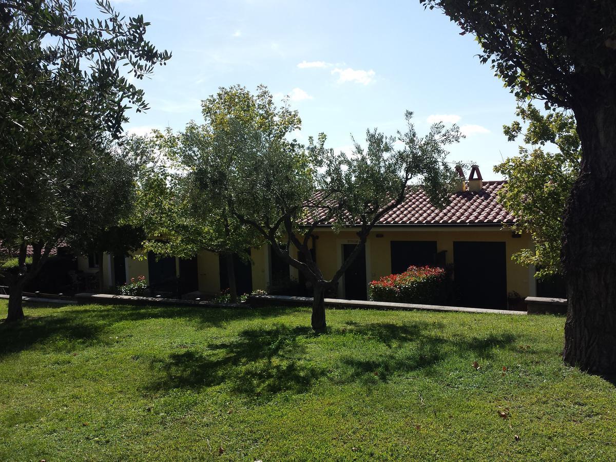 Agriturismo La Vite E Gli Ulivi Villa Ariccia Exteriör bild