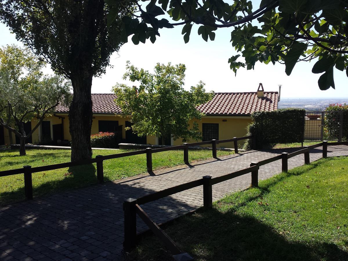 Agriturismo La Vite E Gli Ulivi Villa Ariccia Exteriör bild